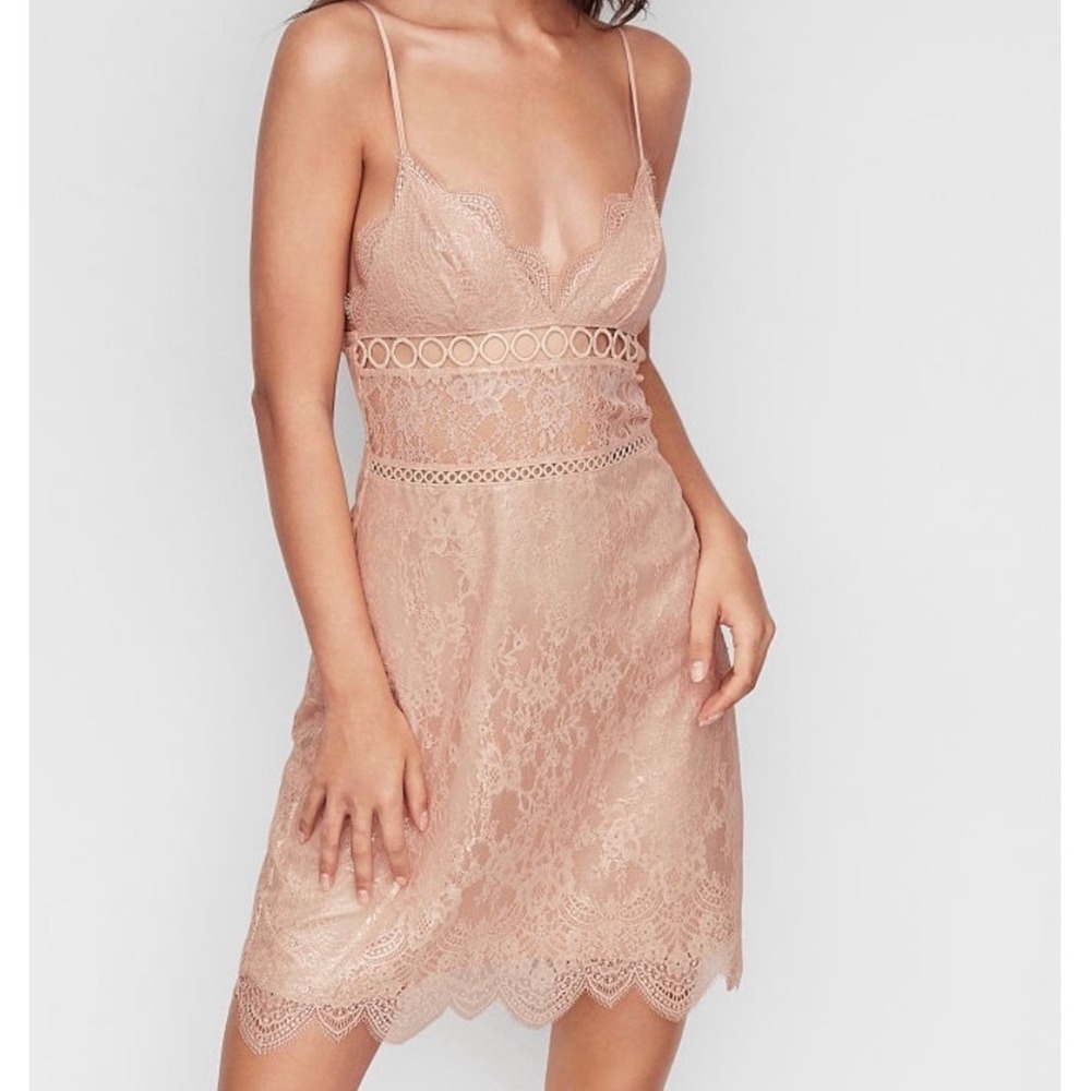 Victoria's Secret Dream Angels Floral Lace Slip Dress Womens Large Pink Lingerie